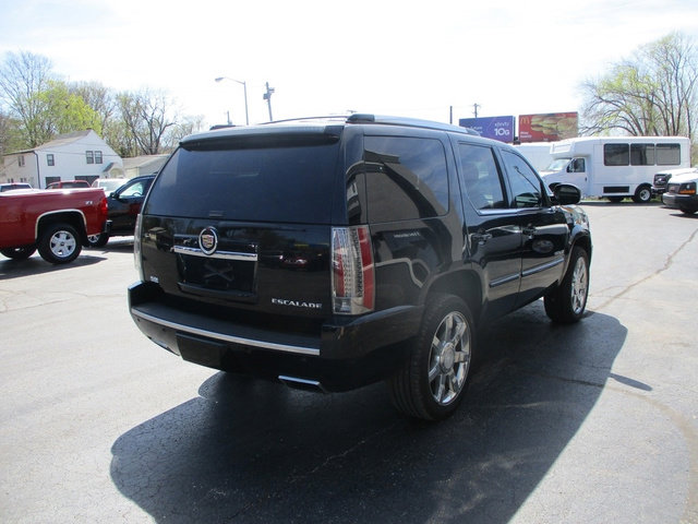 image-4