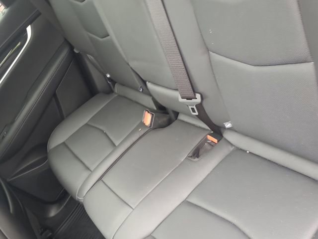 image-5