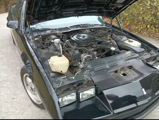 image-2