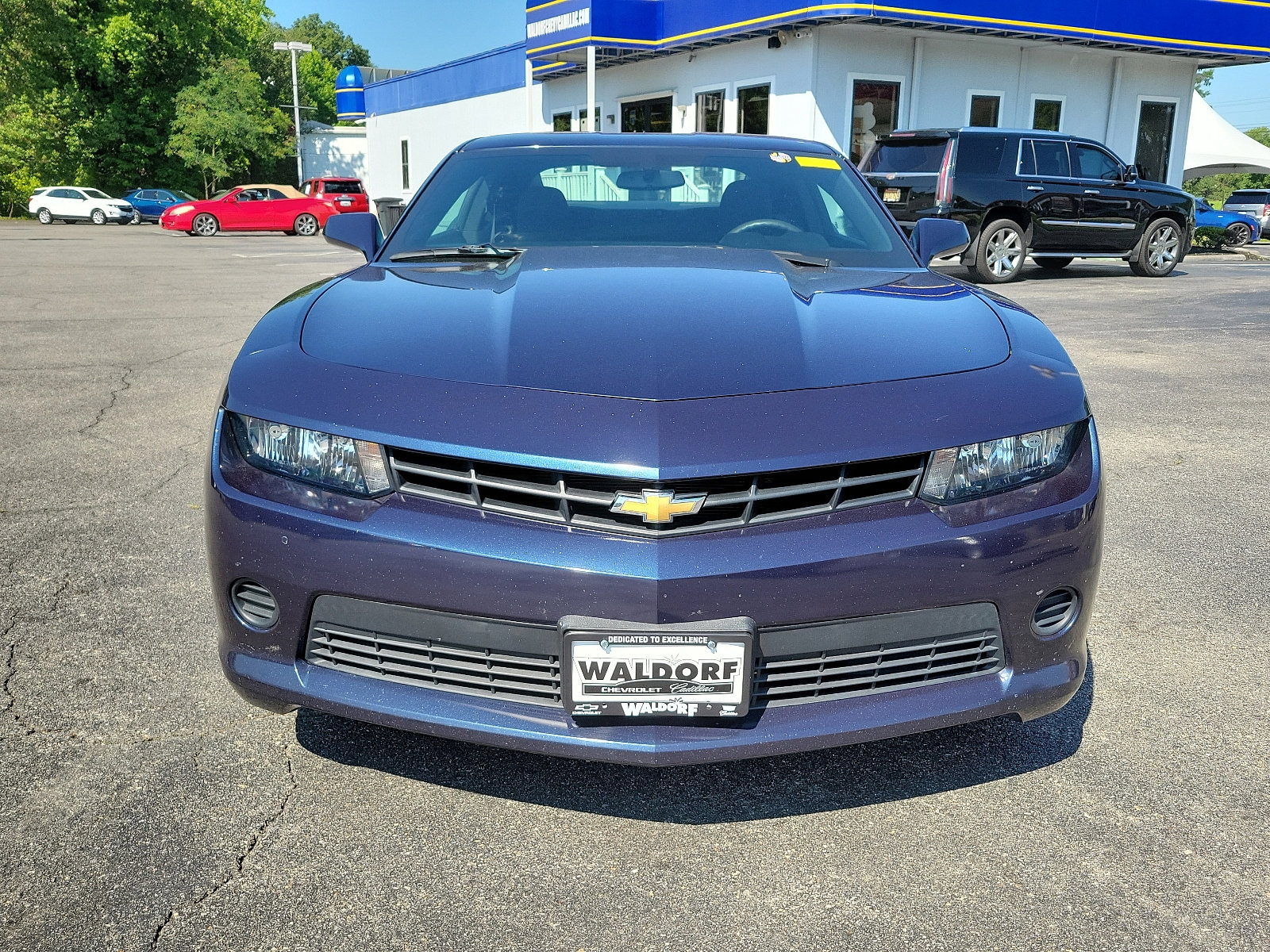 image-2