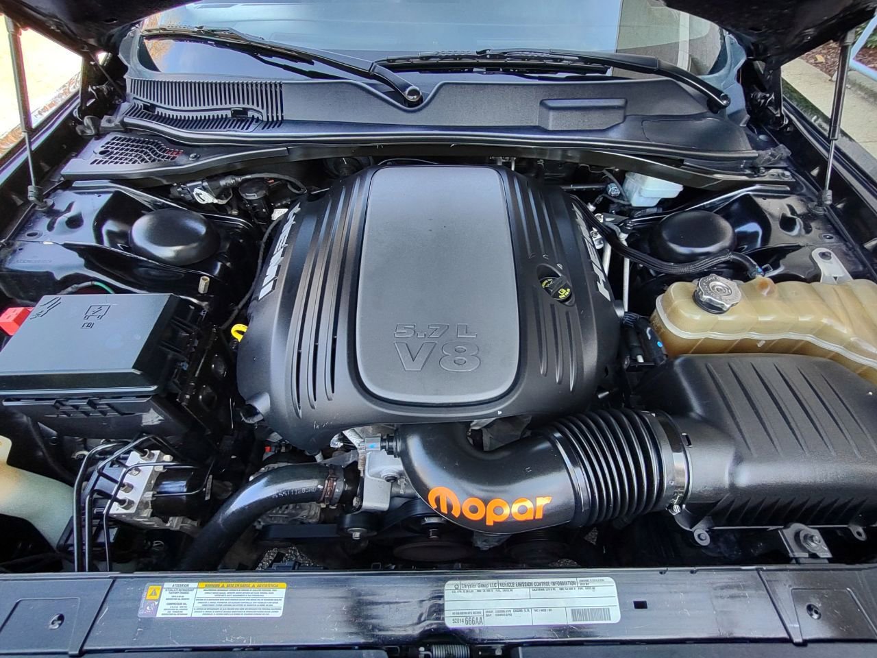image-4