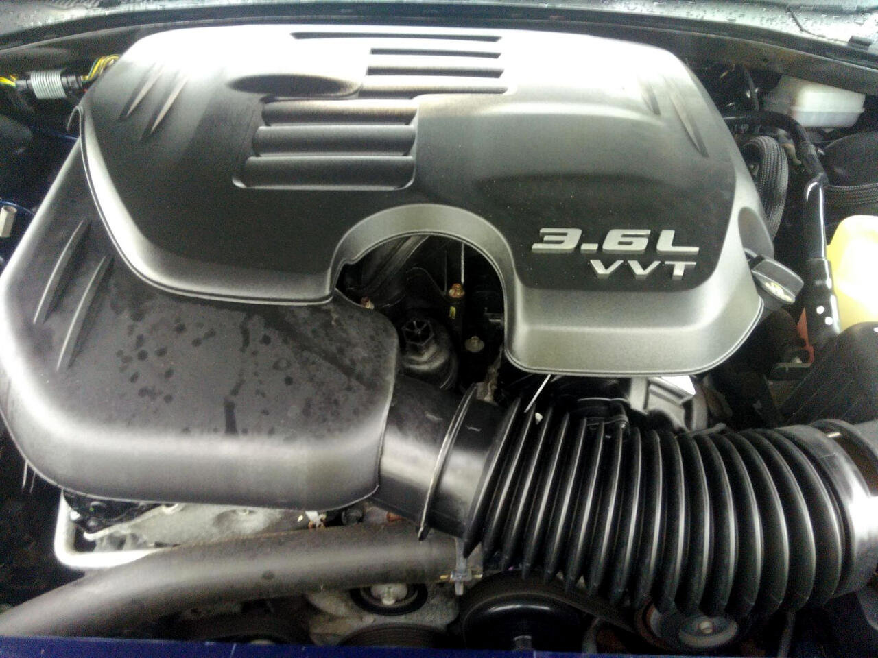 image-5