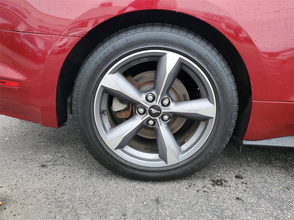 image-5