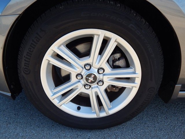 image-5