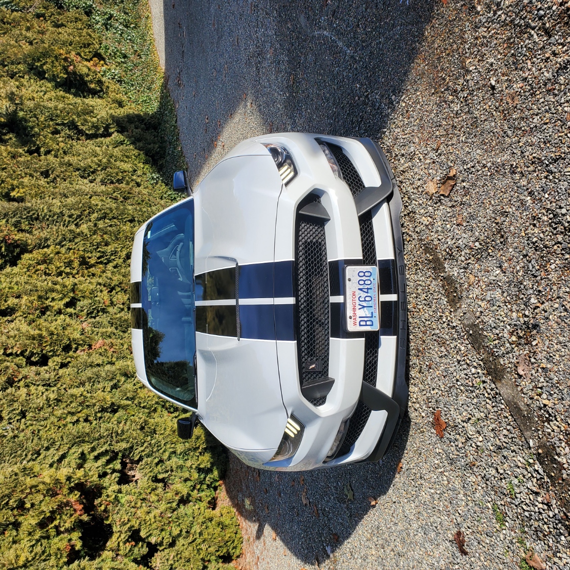 image-2