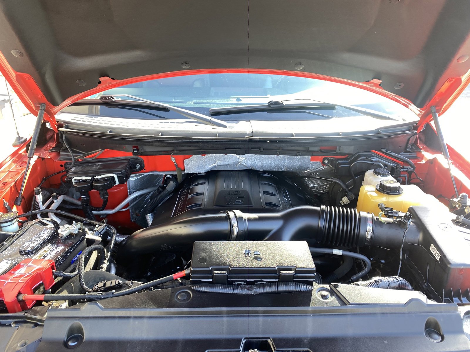 image-6